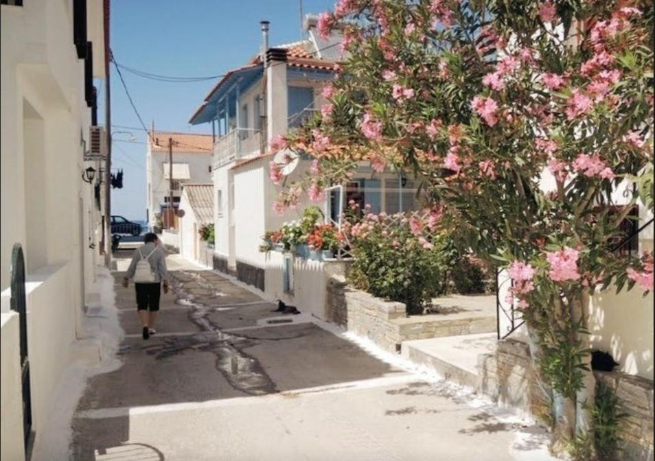 Studios Marin Kokkari Exterior foto